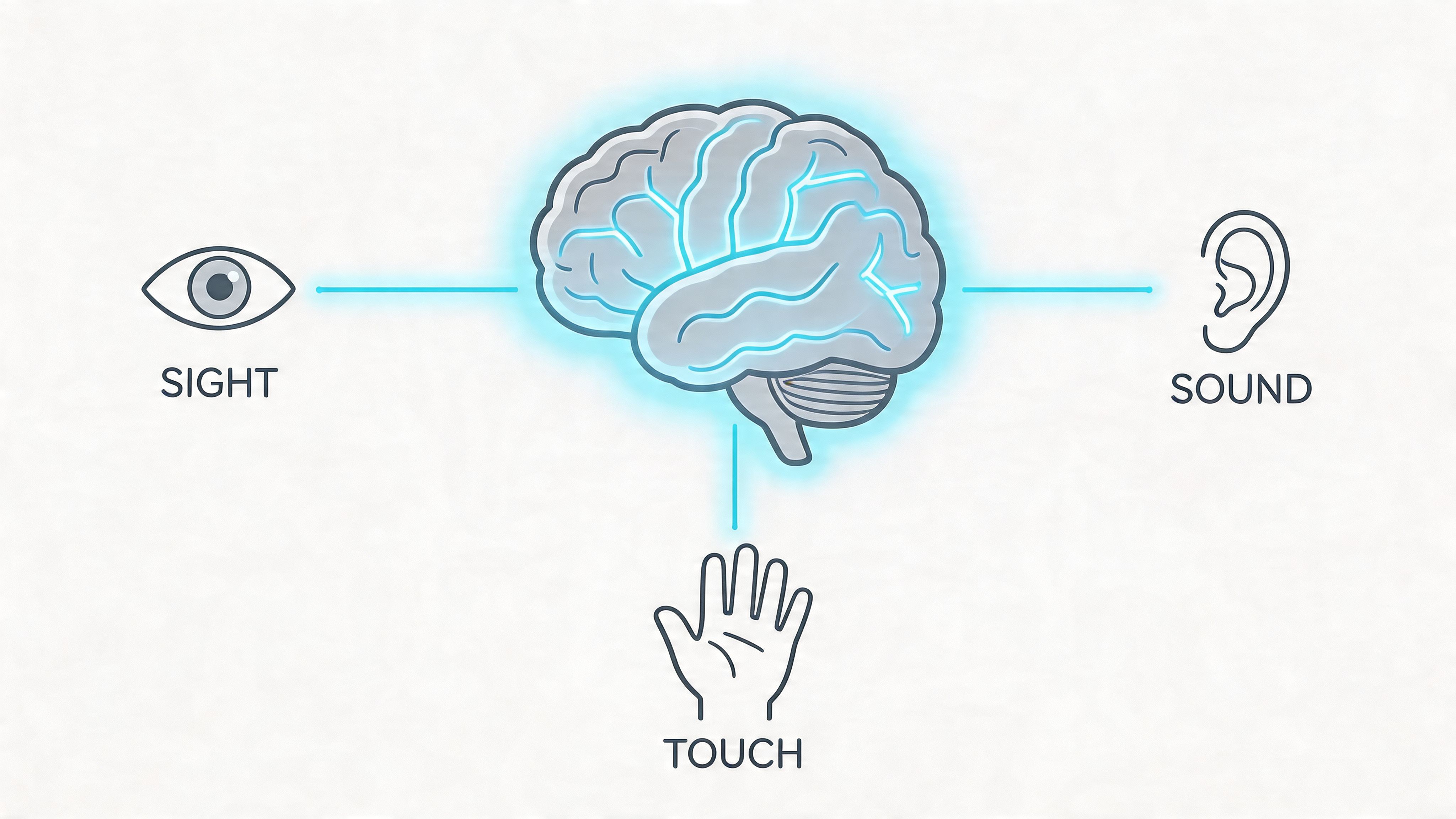 A digital illustration showing a central human brain connected to icons for sight, sound, and touch senses.