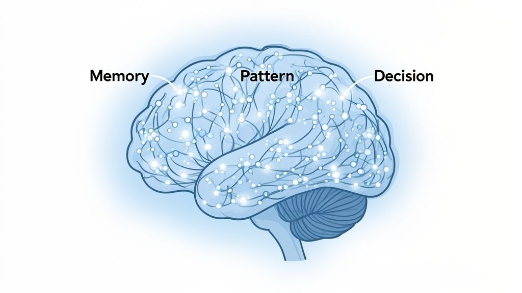 An illustration of a human brain highlighting interconnected neural networks for memory, pattern recognition, and decision making.